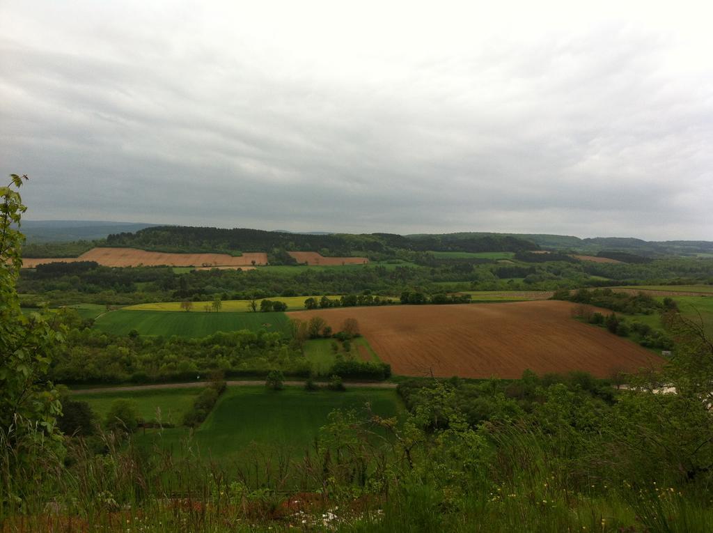 Le Relais Du Morvan Vezelay Bagian luar foto